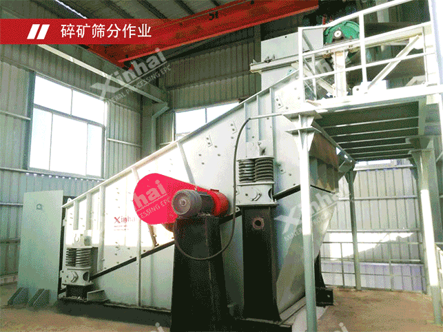 巴基斯坦銅礦選礦工藝現(xiàn)場