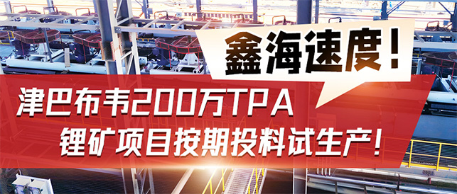 津巴布韋Bikita 200萬TPA 鋰礦項(xiàng)目3D設(shè)計(jì)圖